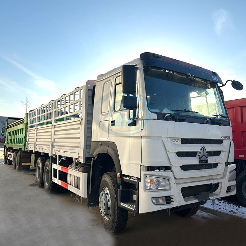 Camión de carga con valla HOWO 6X4